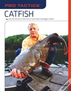 Capa do artigo Pro Tactics: Catfish