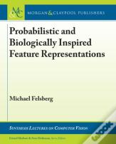 Probabilistic And Biologically Inspired Feature Representations