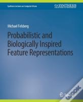 Probabilistic And Biologically Inspired Feature Representations