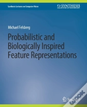 Probabilistic And Biologically Inspired Feature Representations