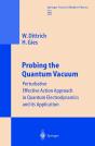 Probing The Quantum Vacuum - Preview