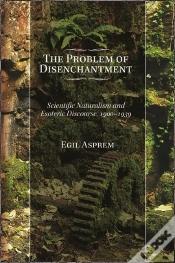 Capa do artigo Problem Of Disenchantment