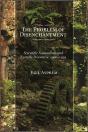 Problem Of Disenchantment - Preview