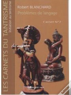 Capa do artigo Problèmes De Langage ; Carnet T.2