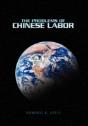Problems In The Implementation Of Chinese Human Rights Obligations - Preview