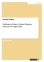 Problems Of Direct Labour Projects Procured In Lagos State - Preview