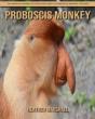 Proboscis Monkey - Preview