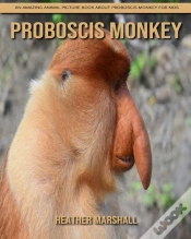 Capa do artigo Proboscis Monkey