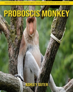 Capa do artigo Proboscis Monkey