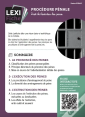 Procédure Pénale (2e Édition)