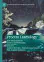 Process Cosmology - Preview