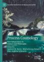 Process Cosmology - Preview