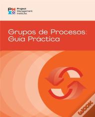 Process Groups: A Practice Guide (Spanish)