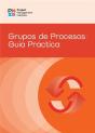 Process Groups: A Practice Guide (Spanish) - Preview