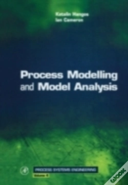 Capa do artigo Process Modelling And Model Analysis