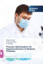 Process Optimization For Hyperproduction - Preview