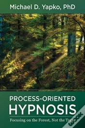 Capa do artigo Process-Oriented Hypnosis