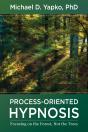 Process-Oriented Hypnosis - Preview
