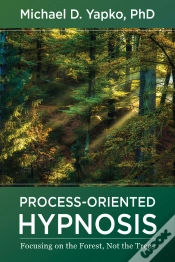 Capa do artigo Process-Oriented Hypnosis
