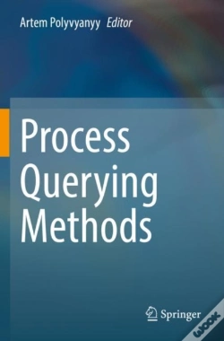 Capa do artigo Process Querying Methods