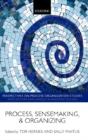 Process, Sensemaking, And Organizing - Preview
