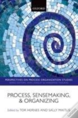 Capa do artigo Process, Sensemaking, And Organizing