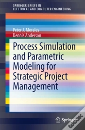 Capa do artigo Process Simulation And Parametric Modeling For Strategic Project Management