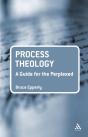 Process Theology: A Guide For The Perplexed - Preview