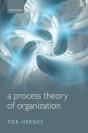 Process Theory Of Organization - Preview