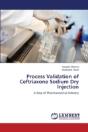 Process Validation Of Ceftriaxone Sodium Dry Injection - Preview