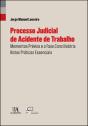 Processo Judicial de Acidente de Trabalho - Preview