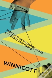 Capa do artigo Processos De Amadurecimento E Ambiente Facilitador