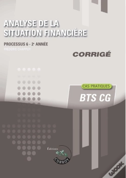 Capa do artigo Processus 6 : Analyse De La Situation Financière ; Bts Cg ; Corrigé