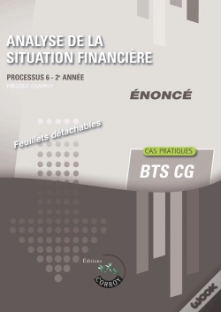 Capa do artigo Processus 6 : Analyse De La Situation Financière ; Bts Cg ; Énoncé