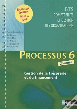 Capa do artigo Processus 6 Bts 2e Annee Cgo - Gestion De La Tresorie Et Du Financement - Les Processus - Eleve 2010