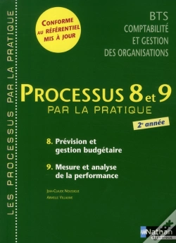 Capa do artigo Processus 8/9 Bts 2 Cgo - 8) Provision Et Gestion Budgetaire 9) Mesure Et Analyse De La Performance