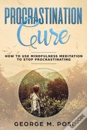 Capa do artigo Procrastination Cure