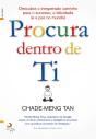 Procura Dentro De Ti - Preview