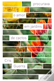Capa do artigo Procurava O Amor Em Jardins De Cactos