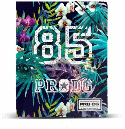 Capa do artigo PRODG Jungle Pasta de Elásticos, Verde