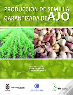 Capa do artigo Producción De Semilla Garantizada De Ajo