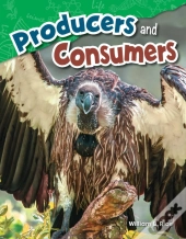 Producers And Consumers