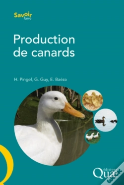 Capa do artigo Production De Canards