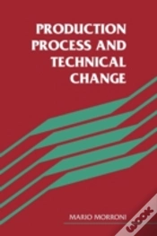 Capa do artigo Production Process And Technical Change