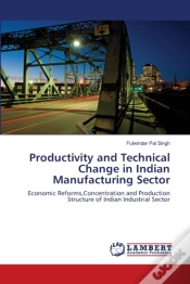 Capa do artigo Productivity And Technical Change In Indian Manufacturing Sector