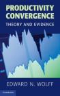 Productivity Convergence - Preview