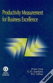 Capa do artigo Productivity Measurement For Business Excellence