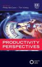 Productivity Perspectives - Preview