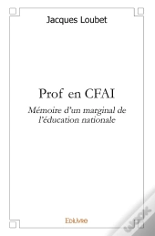 Prof En Cfai ; Mémoire D'Un Marginal De L'Éducation Nationale