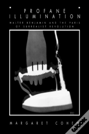 Capa do artigo Profane Illumination